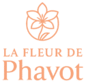 logo v2