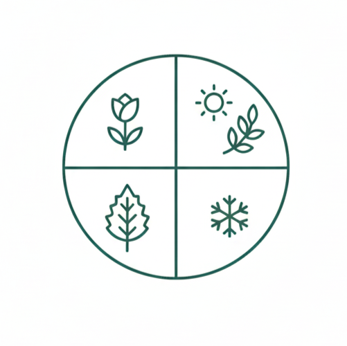 des menus inspires des saisons